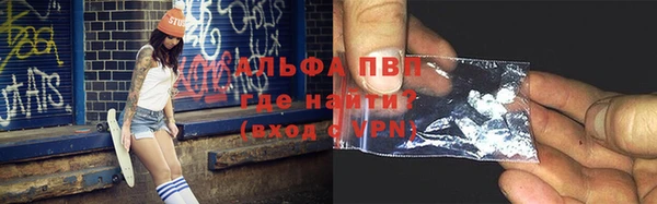 ПСИЛОЦИБИНОВЫЕ ГРИБЫ Богданович