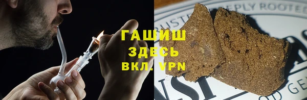 ПСИЛОЦИБИНОВЫЕ ГРИБЫ Богданович