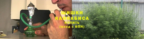 прущий лед Белокуриха