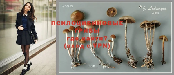 бошки Беломорск