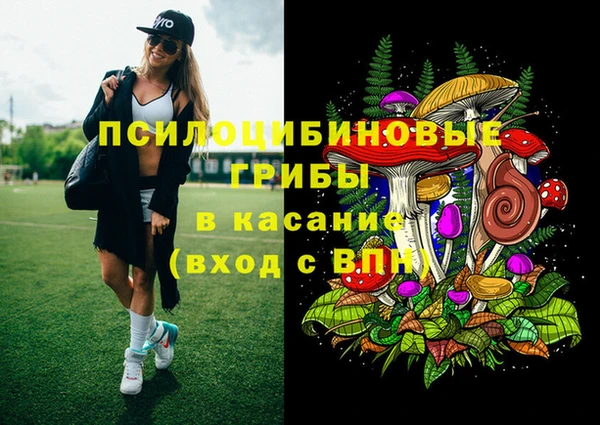 бошки Беломорск