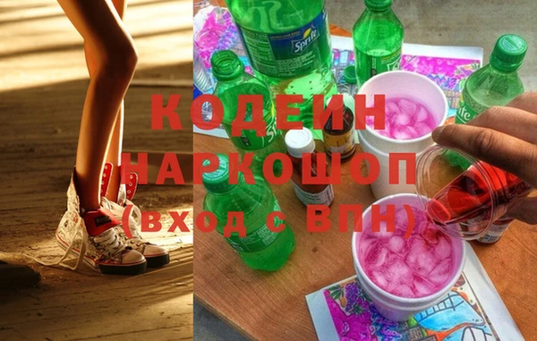 ПСИЛОЦИБИНОВЫЕ ГРИБЫ Богданович