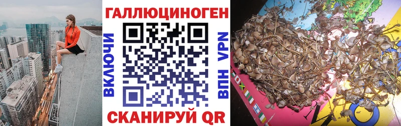 хочу   Ворсма  Галлюциногенные грибы мухоморы 